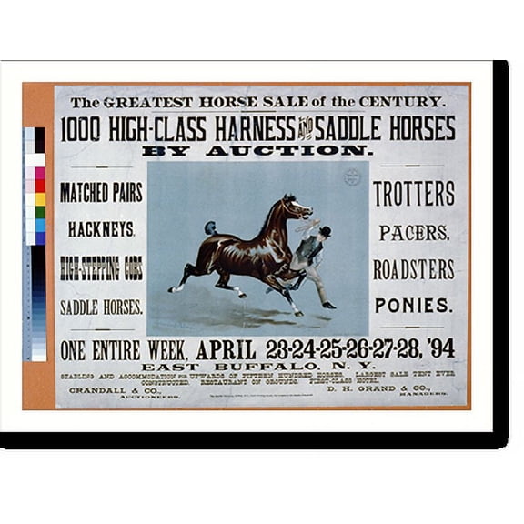 Historic Print, The Greatest Horse Sale of the Century - 1000 High-Class Harness and Saddle Horses by Auction - 2, 18" x 24"