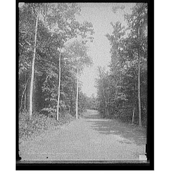 Historic Print, The Green drive, Hotel Champlain, N.Y., 16" x 20"