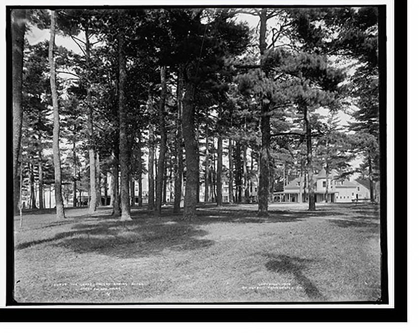 Historic Print, The Grove, Poland Spring Hotel, South Poland, Maine, 18 ...