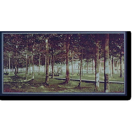 Historic Print, The Grove at Bay View, Michigan, 18" x 24"