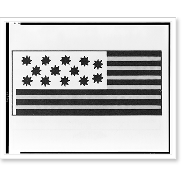 Historic Print, The Guilford Court House flag, 16" x 20"