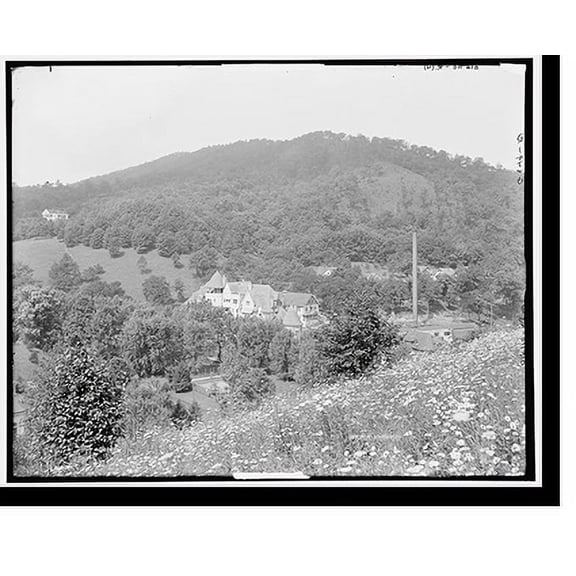 Historic Print, [The Homestead from Sunset Hill, Hot Springs, Va.], 18" x 24"