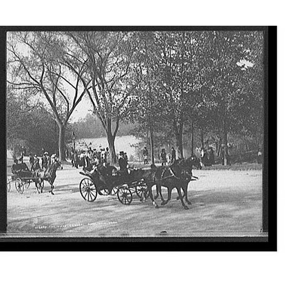 Historic Print, The Lake, Central Park, New York, 16" x 20"