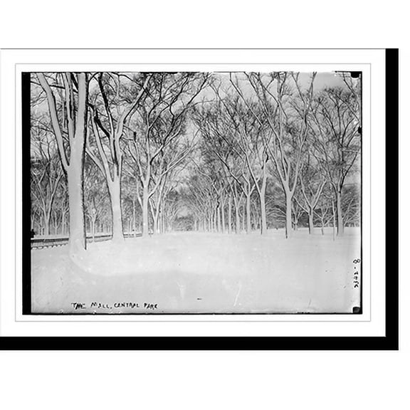 Historic Print, The Mall, Central Park, 18" x 24"