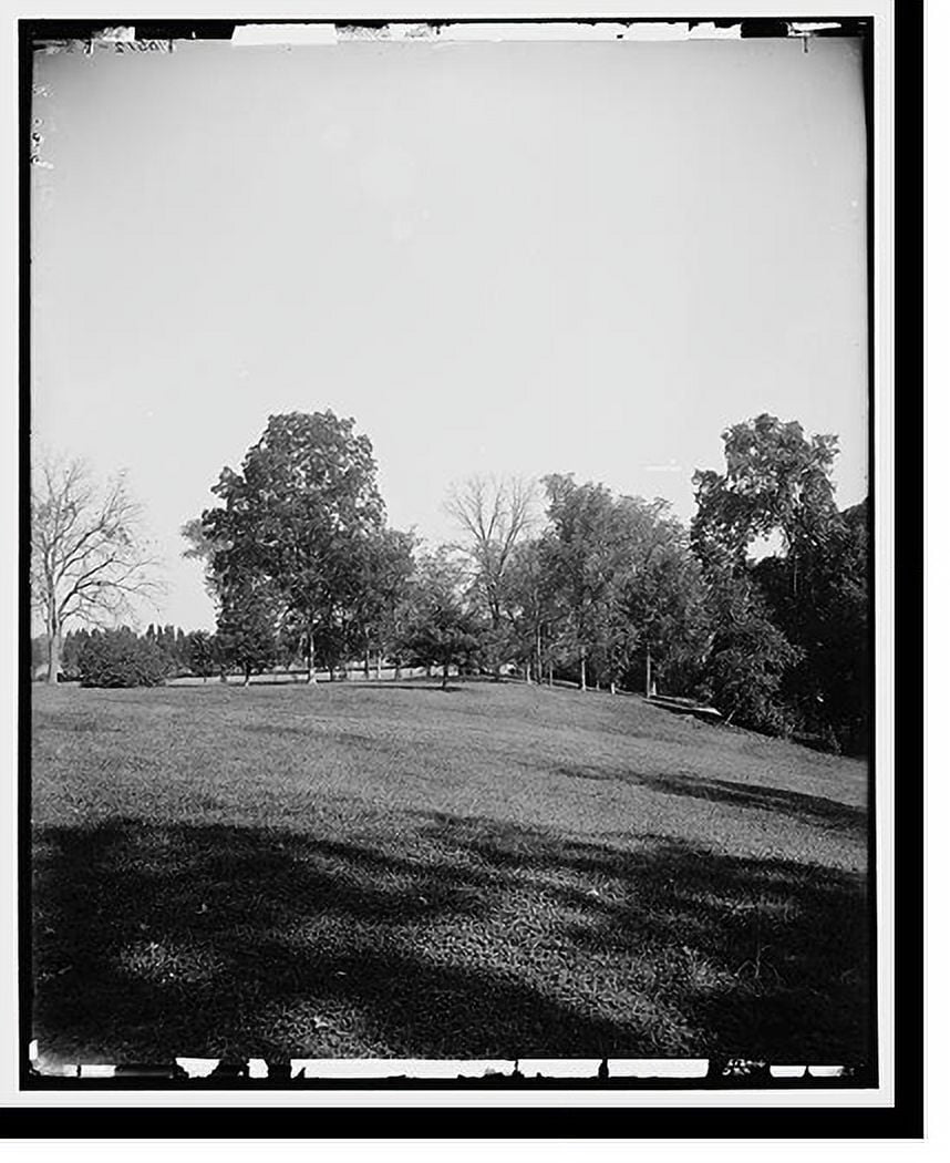 Historic Print, The Mansion and grounds, Mt. Vernon, 16" x 20