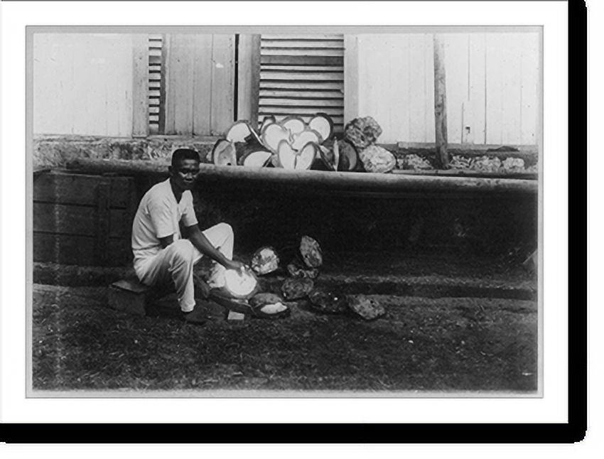 Historic Print, [The Philippines]: Cleaning and drying shells, 16