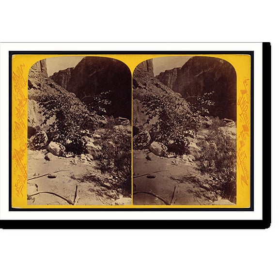 Historic Print, The Redbud, 16" x 20"