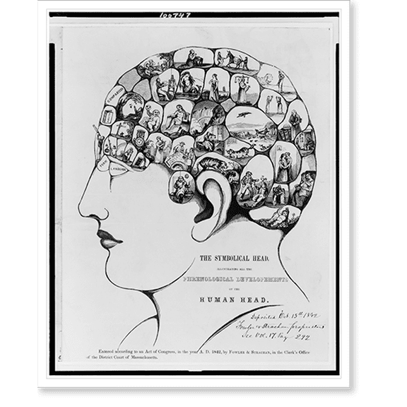 Historic Print, The Symbolical head, illustrating all the phrenological developements of the human head, 18" x 24"