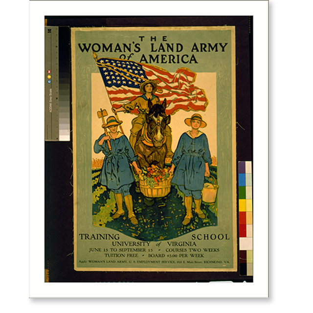 Historic Print, The Woman's Land Army of America. Training school