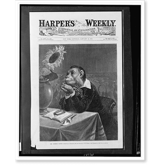 Historic Print, The aesthetic monkey.engraved, by permission, from the picture by W.H. Beard, in the possession of Mr. Hugh Auchinclos., 16" x 20"