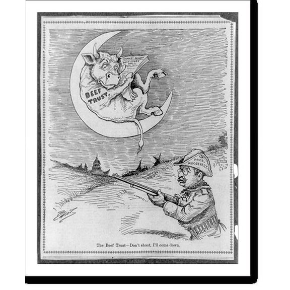 Historic Print, [The beef trust - Don't shoot, I'll come down], 16" x 20"