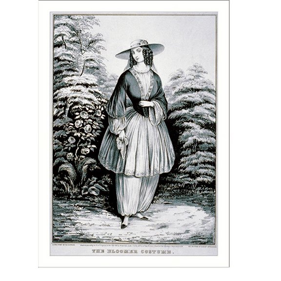 Historic Print, The bloomer costume - 2, 16" x 20"