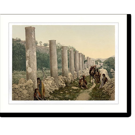 Historic Print, The colonnade Samaria Holy Land, 18" x 24"