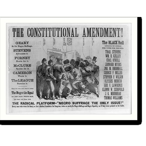 Historic Print, The constitutional amendment! - 2, 16" x 20"