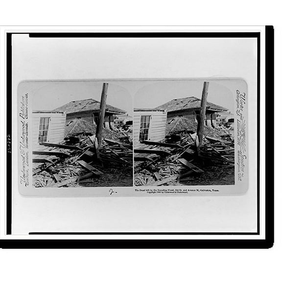 Historic Print, The dead left by the receding flood, 33d St. and Avenue M, Galveston, Texas, 16" x 20"