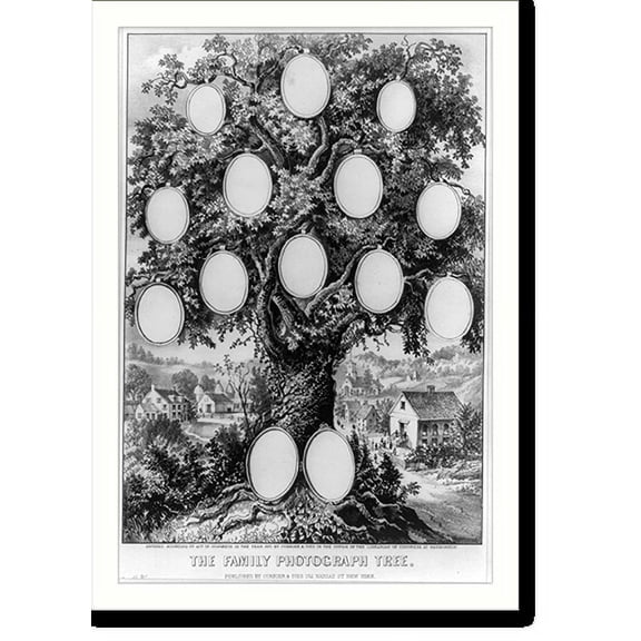 Historic Print, The family photograph tree, 16" x 20"