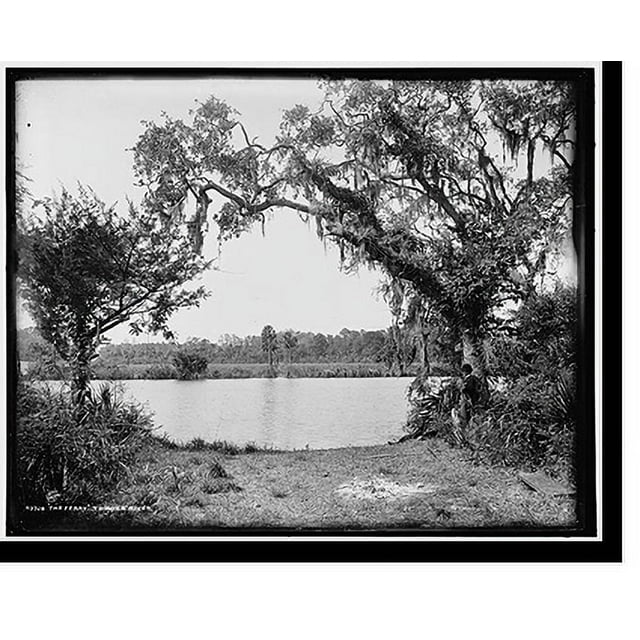 Historic Print, The ferry, Tomoka River, 16" x 20"
