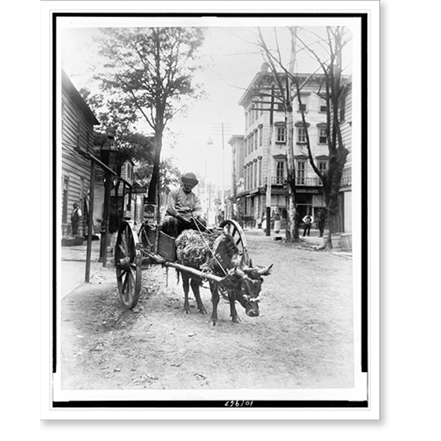 Historic Print, The lightening [sic] express, Savannah, Ga..Geo. Barker