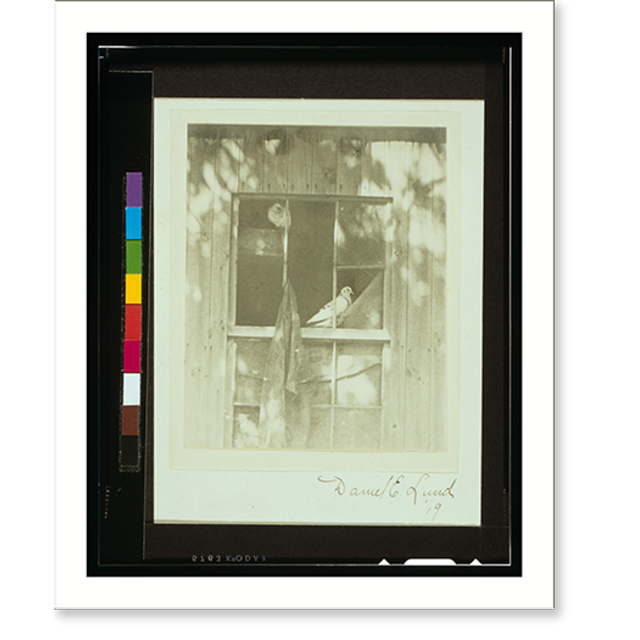 Historic Print, The pigeons.Daniel E. Lund, '19., 16" x 20"