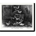 Historic Print, The poultry yard, 16" x 20"