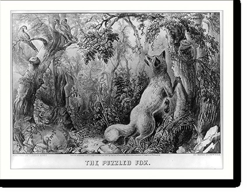 Historic Print, The puzzled fox find the horse, lamb, wild boar, mens