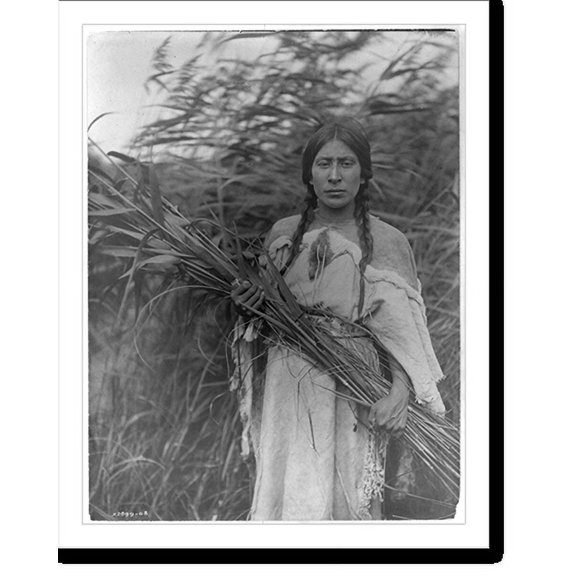 Historic Print, The rush gatherer, 16" x 20"