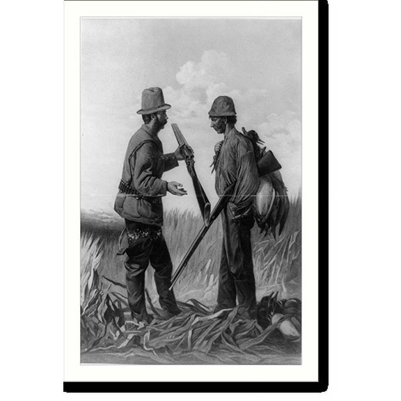 Historic Print, The tight shell, 18" x 24"