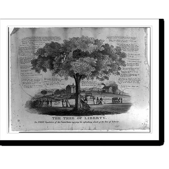 Historic Print, The tree of liberty. The free population of the United States enjoying the refreshing shade of the tree of liberty, 18" x 24"