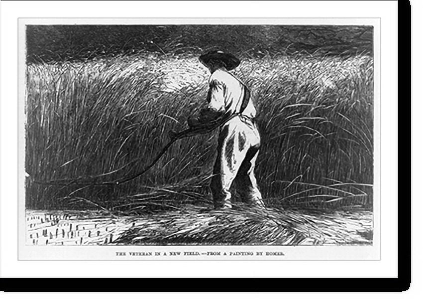 Historic Print, The veteran in a new field. from a painting by Homer