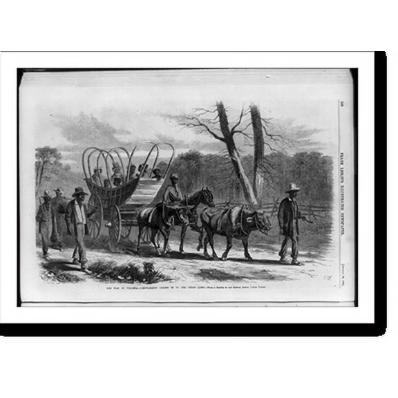 Historic Print, The war in Virginia - contrabands coming in to the Union camp [Blacks in wagon and walking], 18" x 24"
