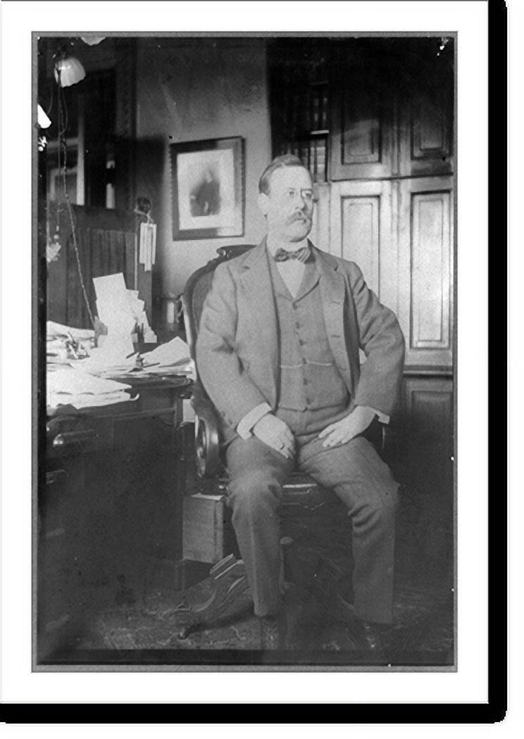 Historic Print, [Thomas Wilbur Cridler, 3rd Assistant Secretary of