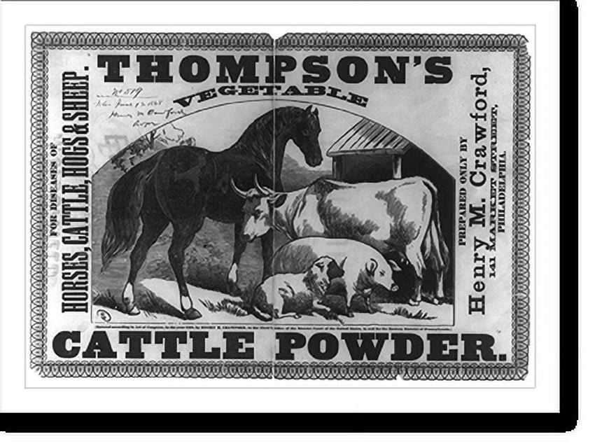 Historic Print, Thompson's vegetable cattle powder For diseases of