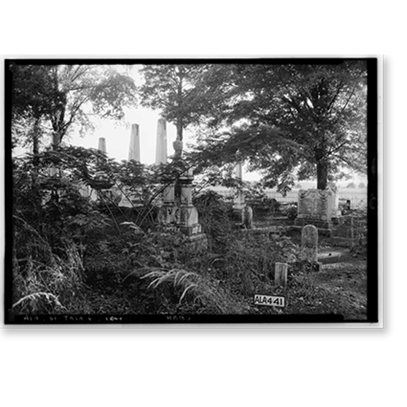 Historic Print, Thornhill, State Road 21, Talladega vicinity, Talladega County, AL - 7, 16" x 20"