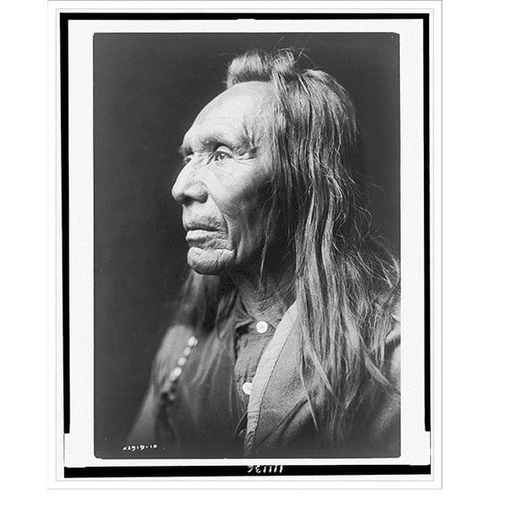 Historic Print, [Three Eagles, a Nez Perc Indian, head-and-shoulders portrait, facing left], 16" x 20"