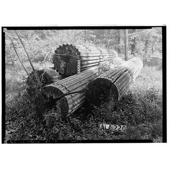 Historic Print, Tinker House (Columns), Greensboro vicinity, Hale County, AL - 2, 18" x 24"