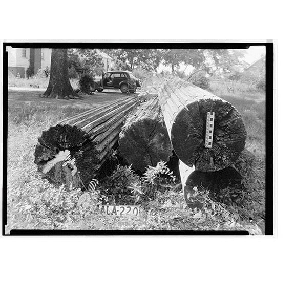 Historic Print, Tinker House (Columns), Greensboro vicinity, Hale County, AL - 3, 18" x 24"
