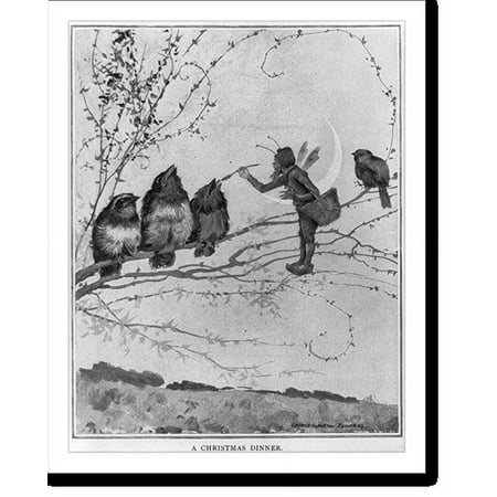 Historic Print, [Tiny pixie on tree branch, feeding small birds], 16" x 20"