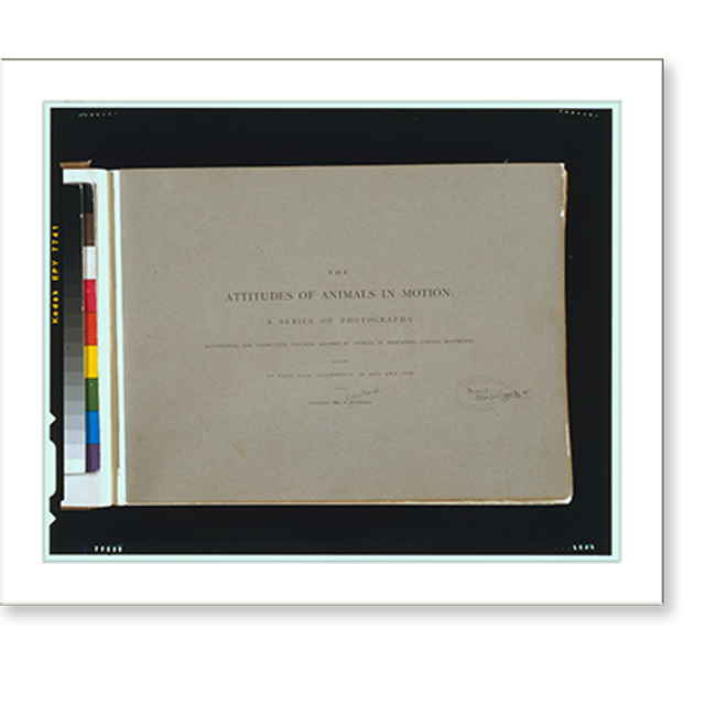 Historic Print, [Title page of The attitudes of animals in motion