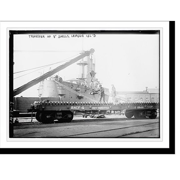 Historic Print, Transfer of 8" shells, League Isl. - 2, 18" x 24"