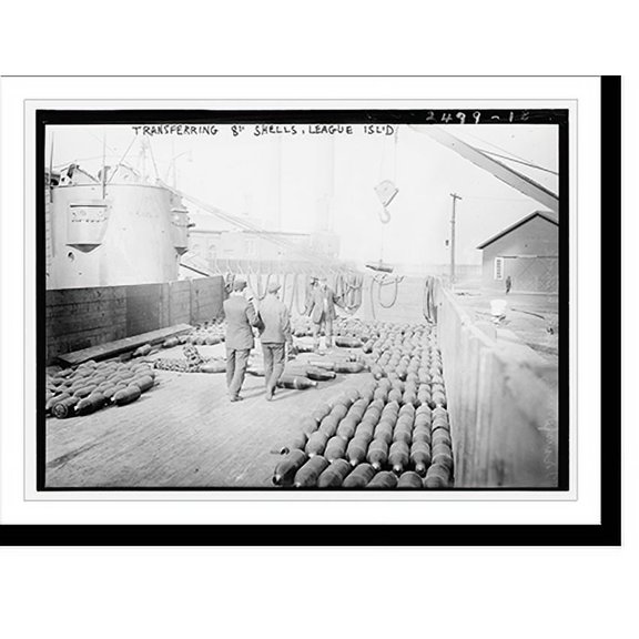 Historic Print, Transfer of 8" shells, League Isl. - 3, 16" x 20"