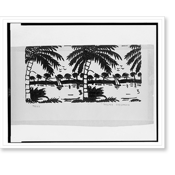Historic Print, Trees.Walter Christmas. - 2, 16" x 20"