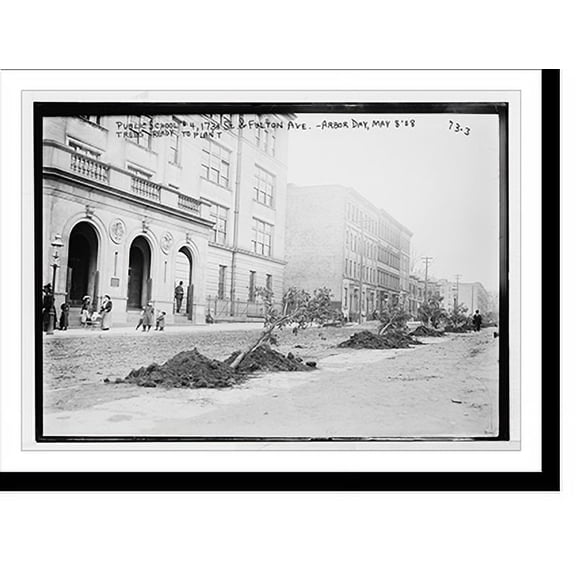 Historic Print, Trees ready to plant, Arbor Day, Public School No. 4, 173rd St. & Fulton Ave., New York, 16" x 20"