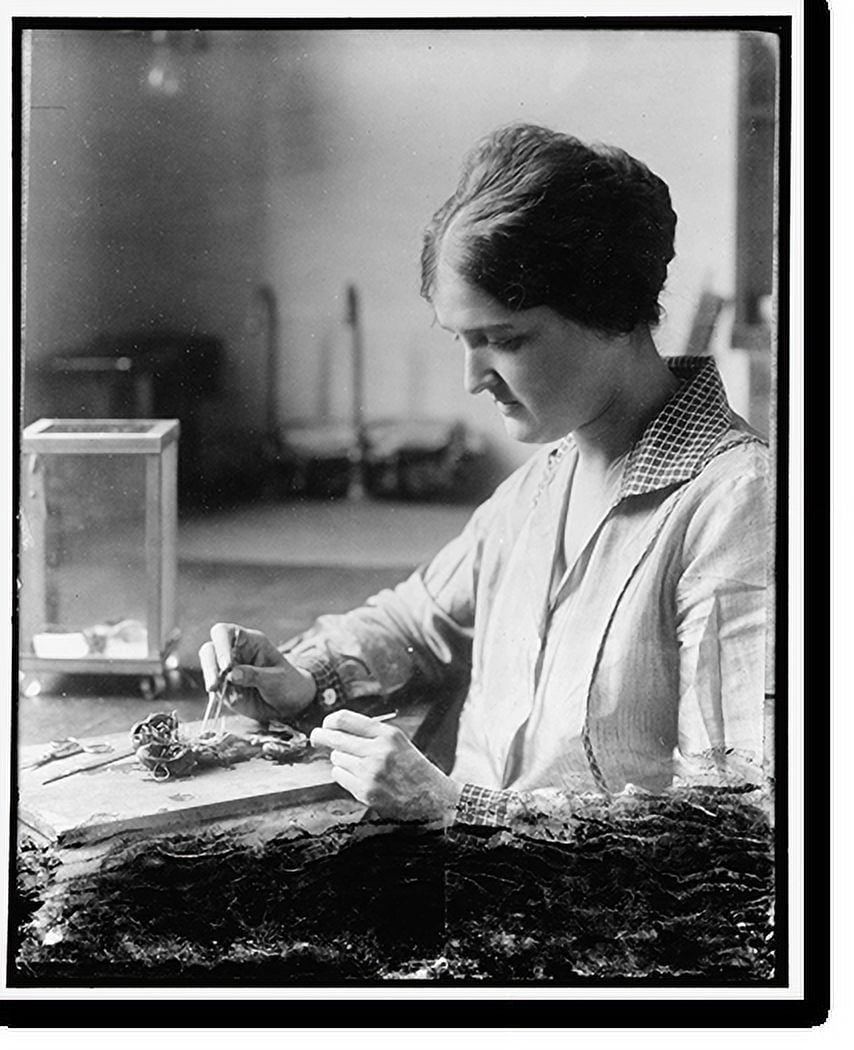 Historic Print, Trying to improve nation's poultry. Dr. Eloise B. Cram