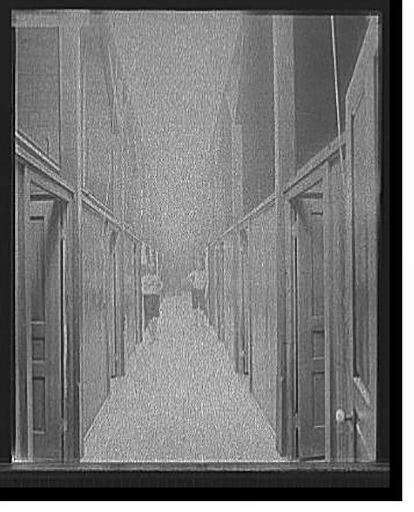 Historic Print, [Two men in corridor, probably the Ypsilanti mineral bath house, Ypsilanti