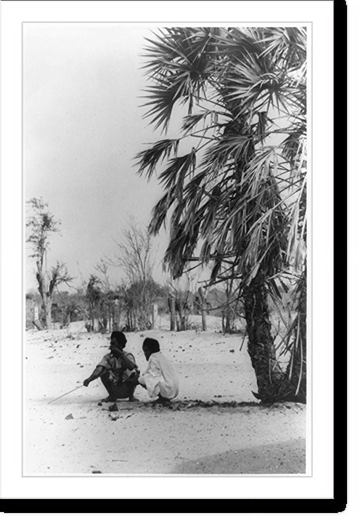 Historic Print, [Two men squatting by palm tree in the Sahelian Zone of West Africa during