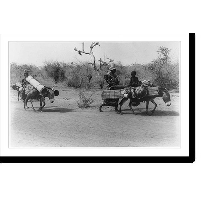Historic Print, [Two women with two children and burros carrying supplies in the Sahelian Zone