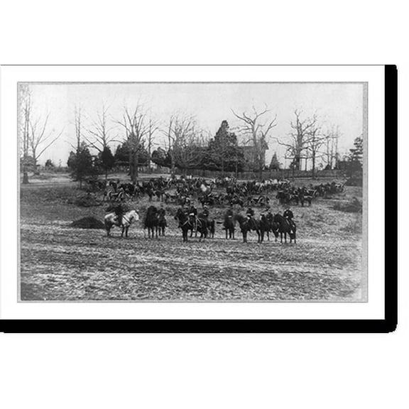 Historic Print, [Union artillery unit posed with cannons and horses], 18" x 24"