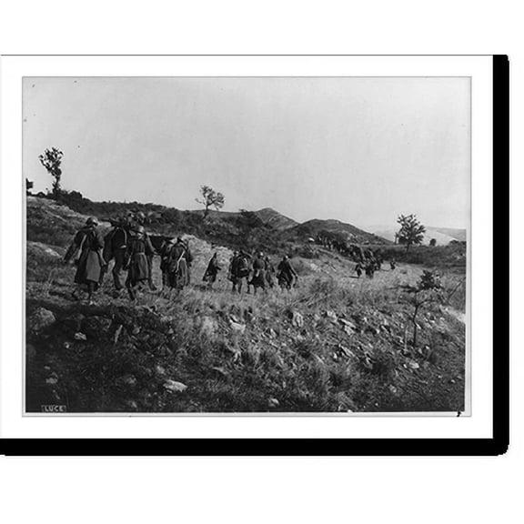Historic Print, [Unit with pack horses in mountains], 16" x 20"