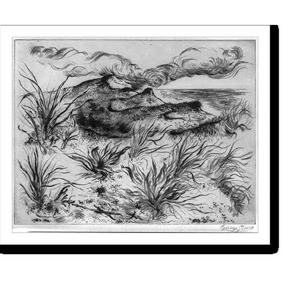Historic Print, [Untitled landscape. Desolate beach scene, Cape Cod, Mass.], 16" x 20"