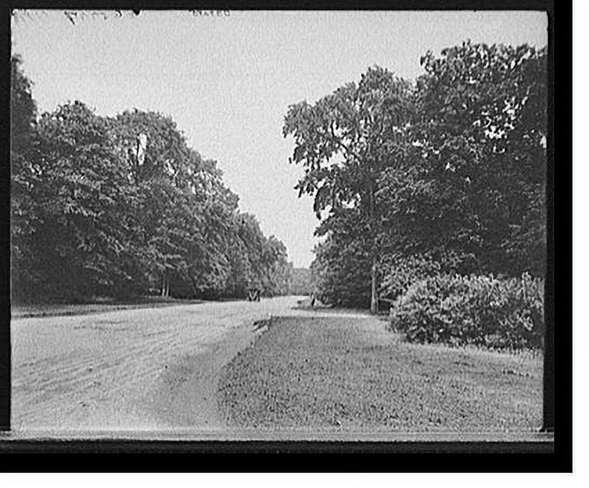 Historic Print, [Upper Central Avenue, Belle Isle Park, Detroit, Mich